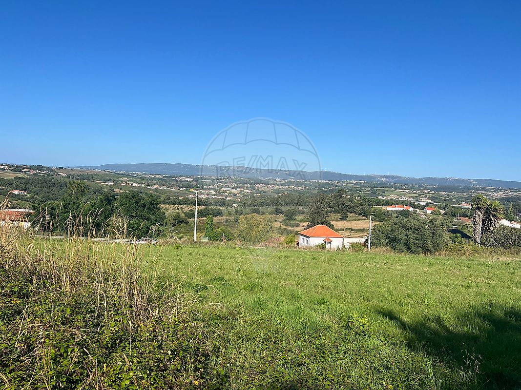 Terreno à venda em Alcobaça