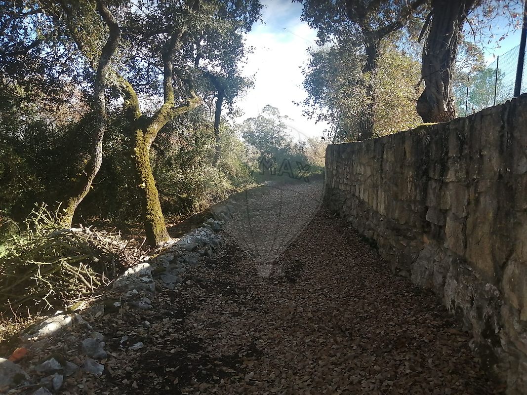 Terreno à venda em Alcobaça