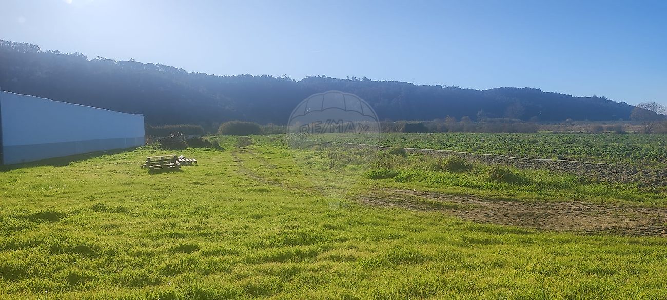 Terreno  para venda