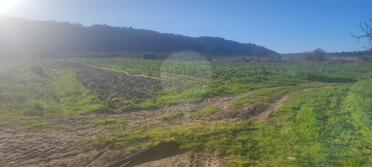 Terreno para venda