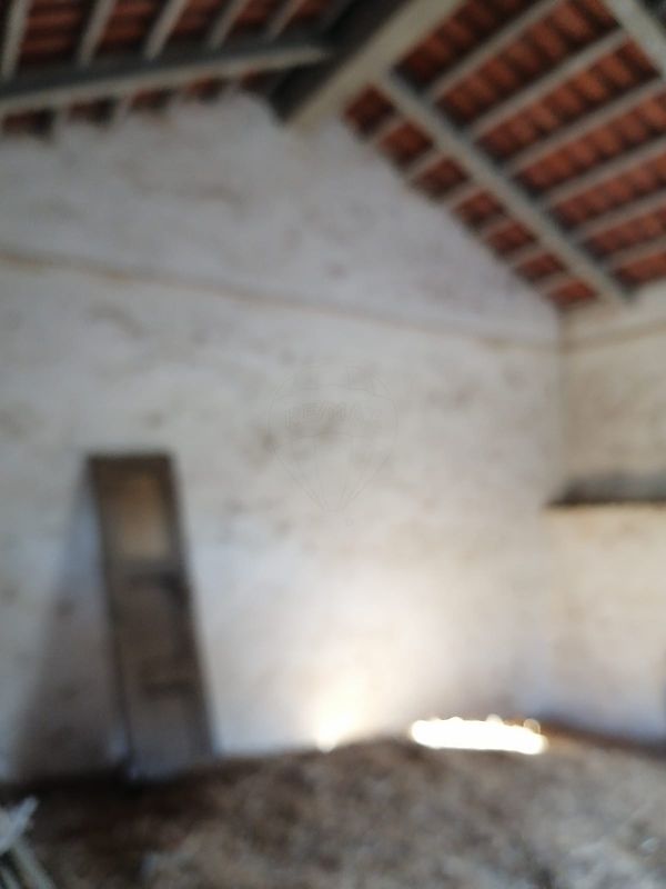 Moradia T3 à venda em Aljubarrota, Alcobaça — foto 39
