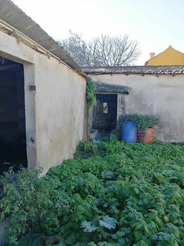 Moradia T3 à venda em Aljubarrota, Alcobaça — foto 28
