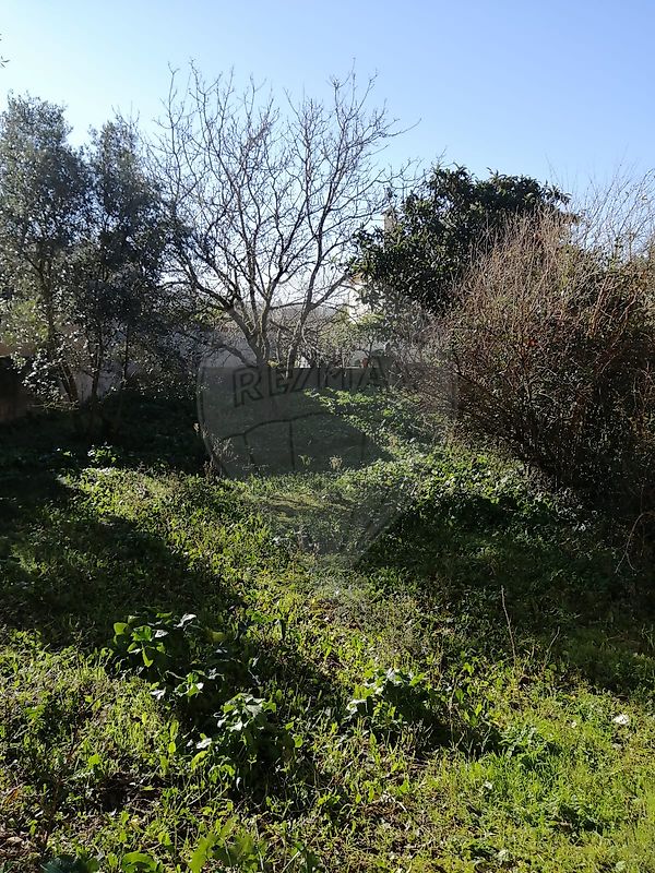 Moradia T3 à venda em Aljubarrota, Alcobaça — foto 24