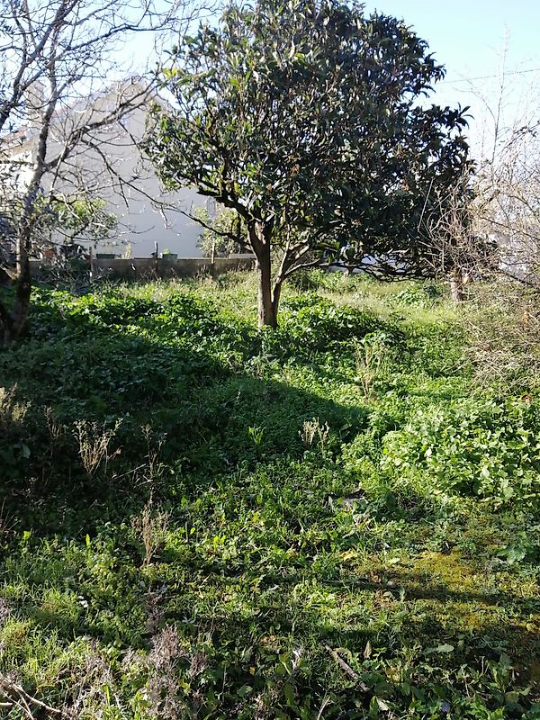 Moradia T3 à venda em Aljubarrota, Alcobaça — foto 23
