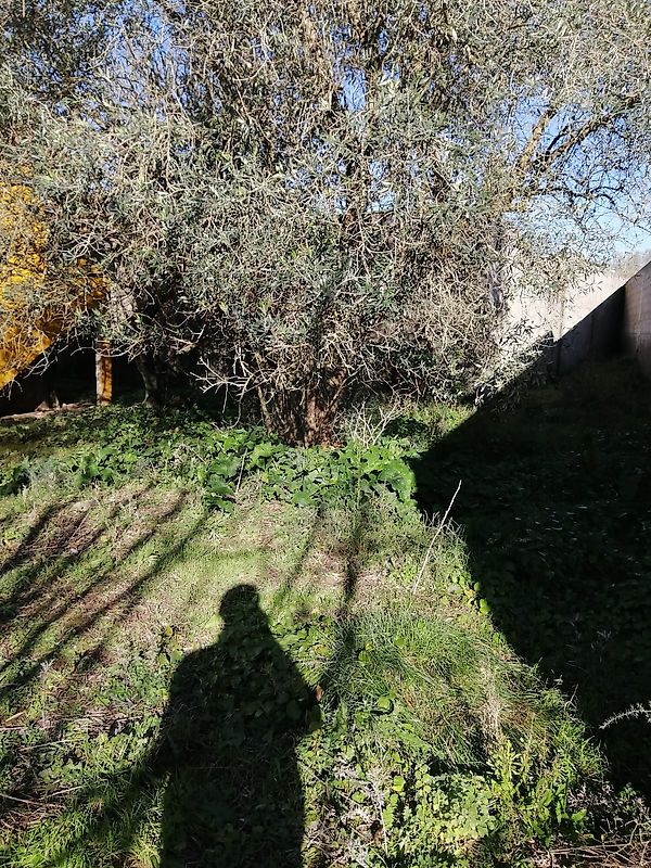 Moradia T3 à venda em Aljubarrota, Alcobaça — foto 22
