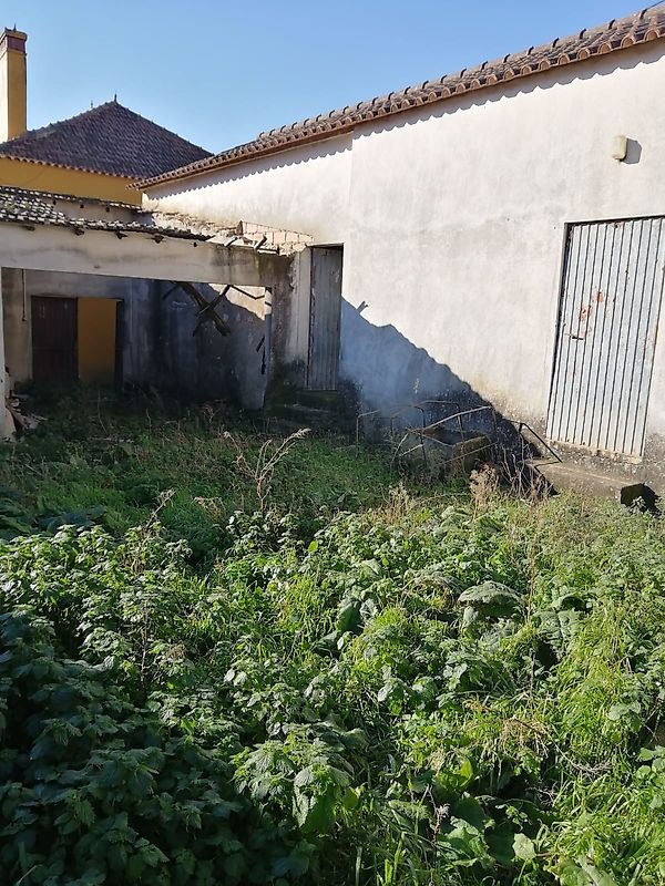 Moradia T3 à venda em Aljubarrota, Alcobaça — foto 29