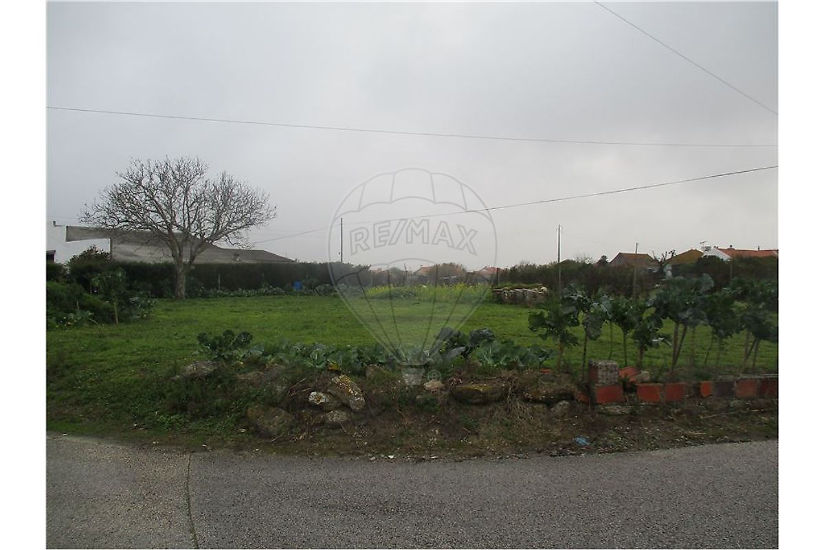 Terreno à venda em Alcobaça