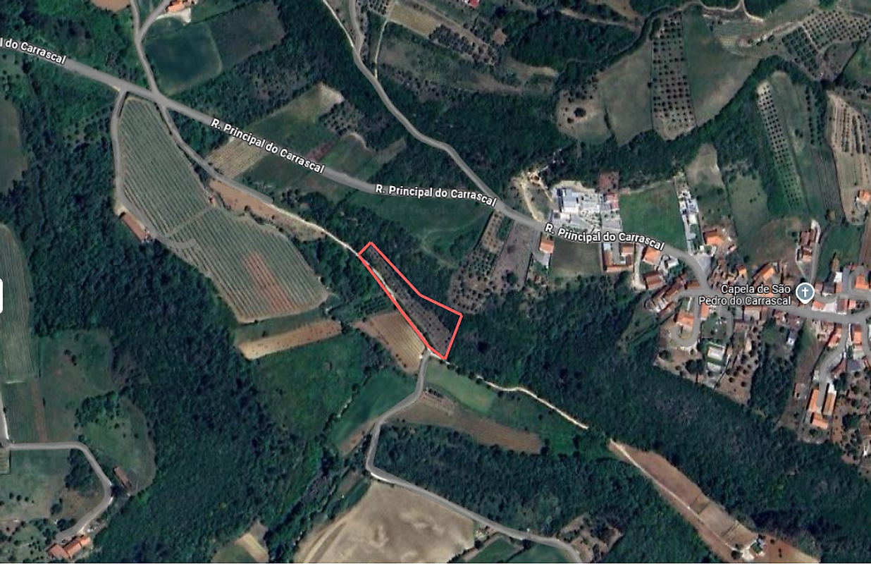 Terreno à venda em Alcobaça