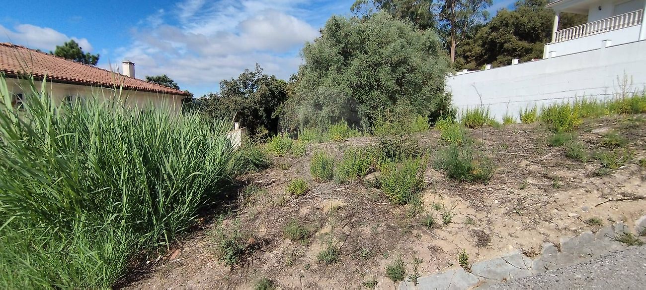 Terreno  para venda
