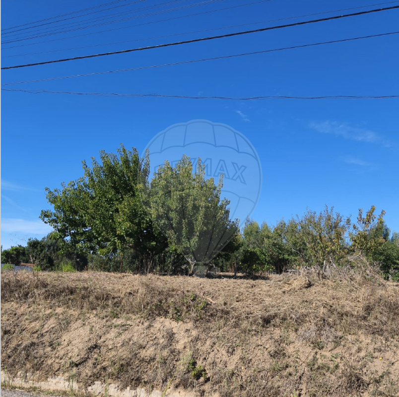 Terreno  para venda