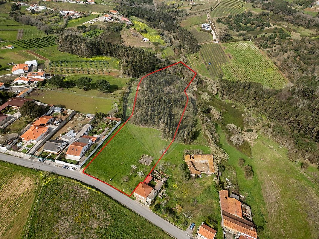 Terreno - Alcobaça e Vestiaria, Alcobaça, Leiria