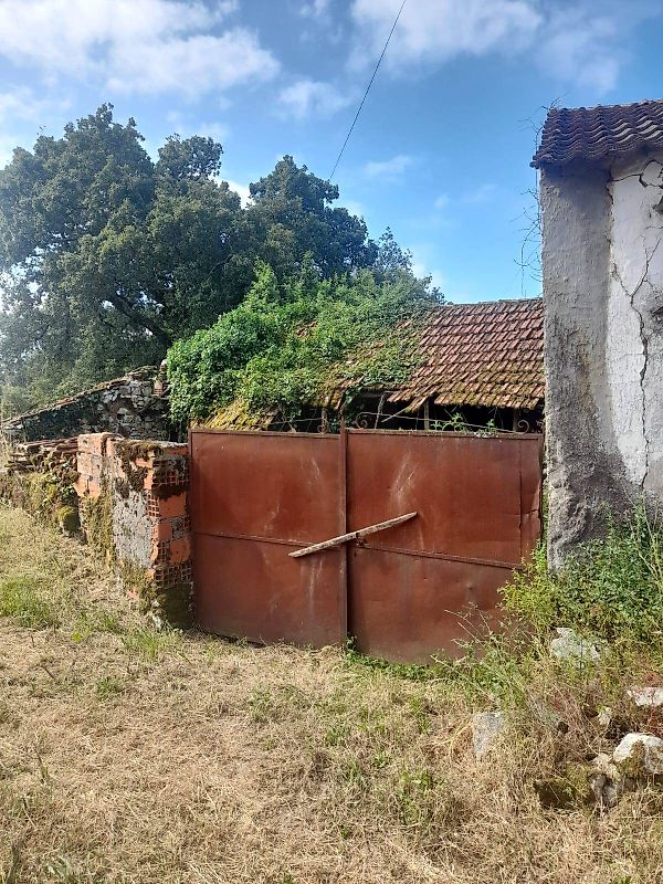Moradia T2 à venda em São Mamede, Batalha — foto 12
