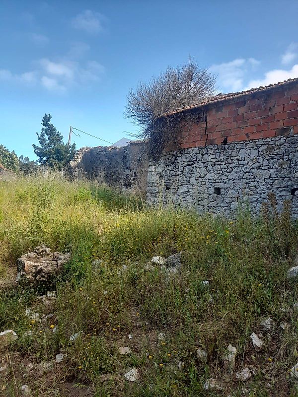 Moradia T2 à venda em São Mamede, Batalha — foto 10