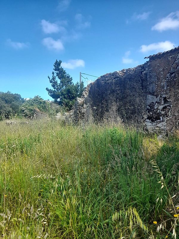 Moradia T2 à venda em São Mamede, Batalha — foto 8