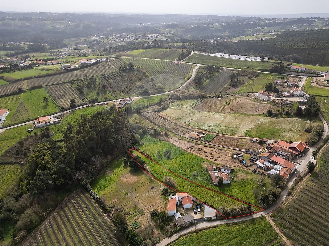 Terreno - Cela, Alcobaça, Leiria