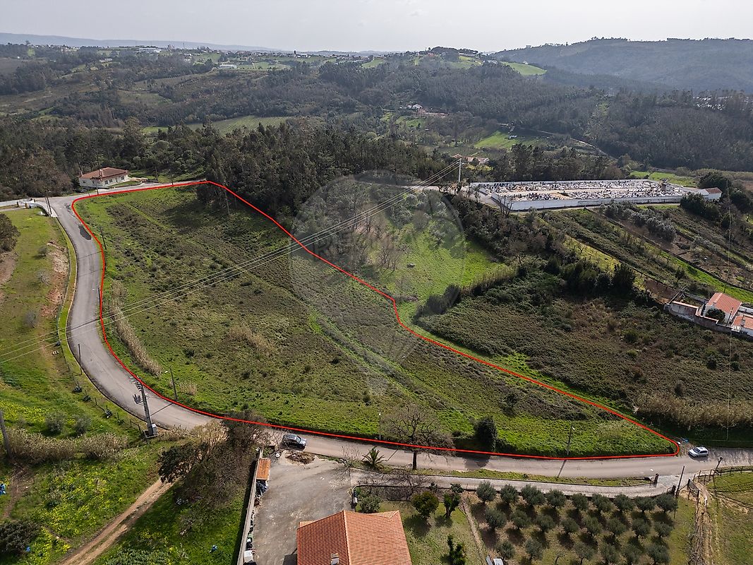 Terreno - Maiorga, Alcobaça, Leiria