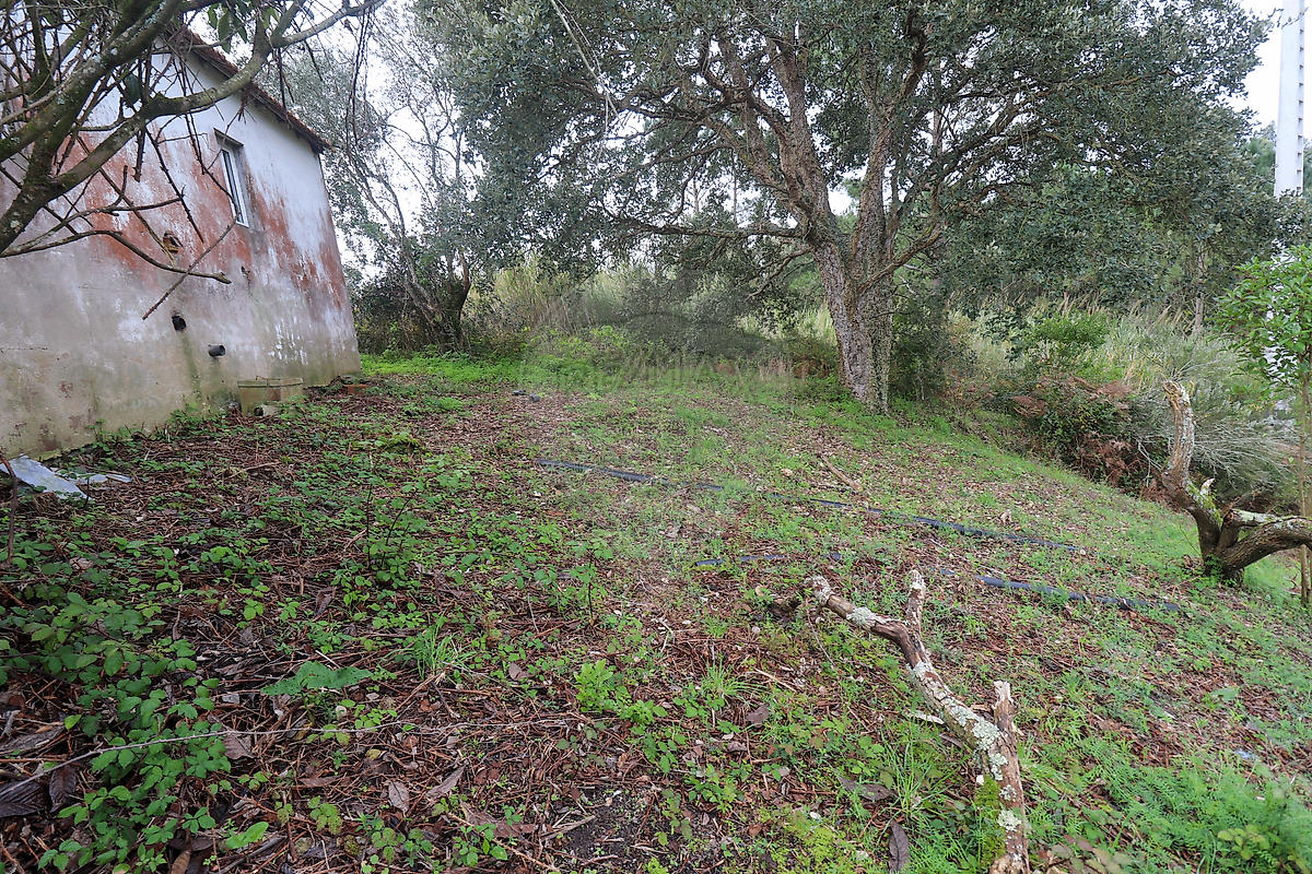 Moradia T3 à venda em Maiorga, Alcobaça — foto 12