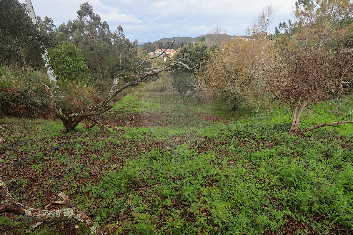 Moradia T3 à venda em Maiorga, Alcobaça — foto 11