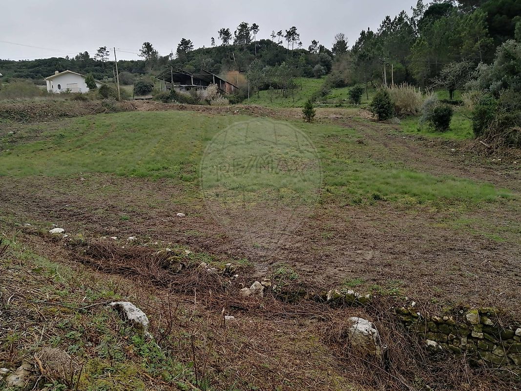 Terreno - Aljubarrota, Alcobaça, Leiria