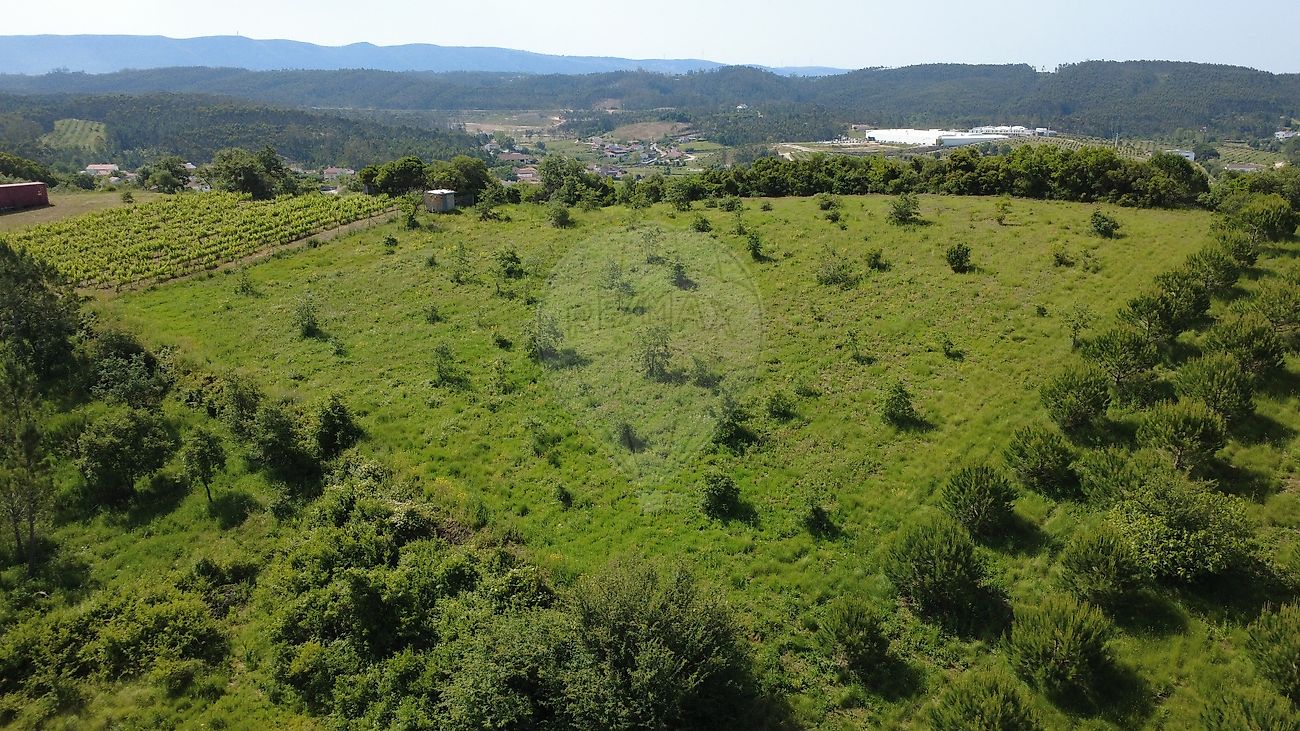 Terreno - Coz, Alpedriz e Montes, Alcobaça, Leiria