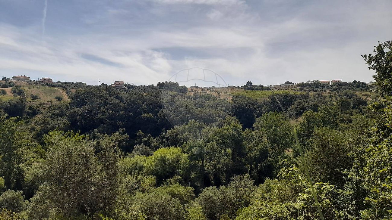 Terreno - Zibreira, Torres Novas, Santarém
