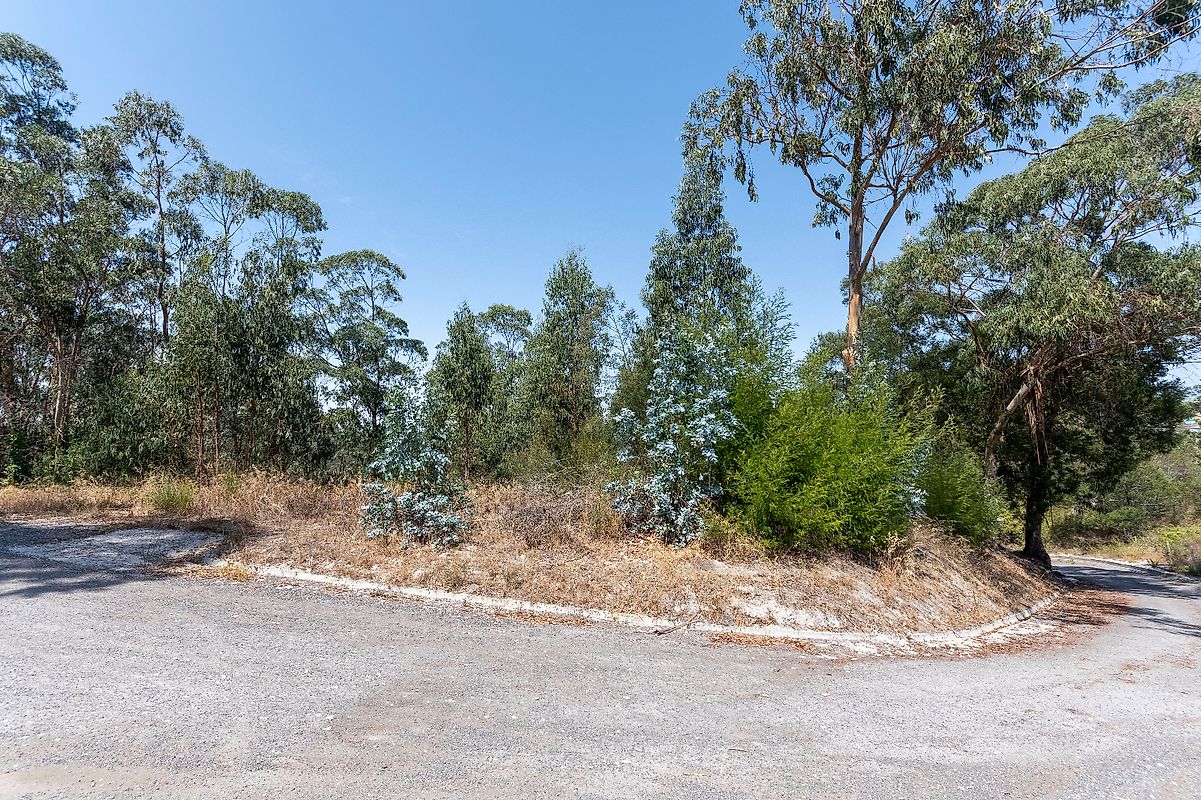 Land for sale in Sintra, Portugal — €75,000