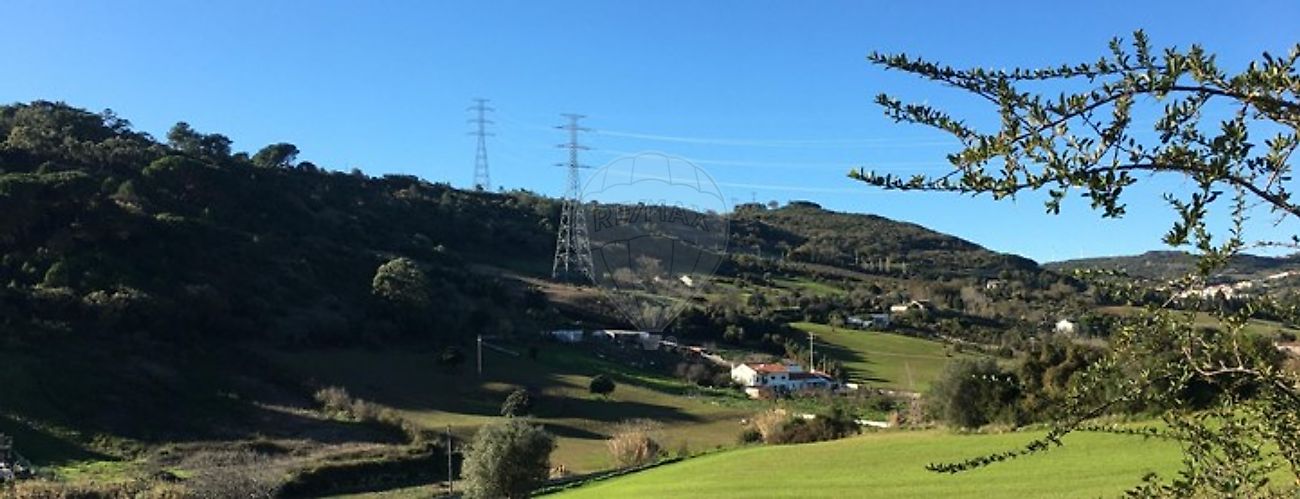 listing 121291595-51 picture-0