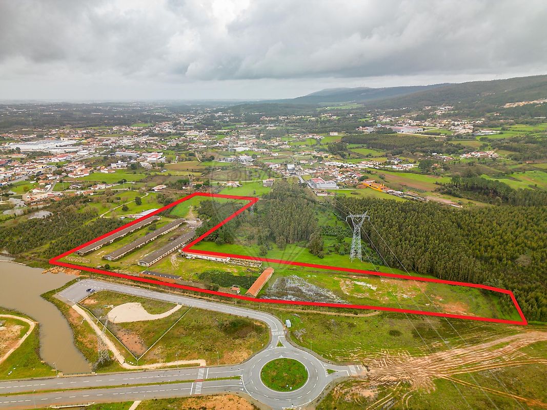 Terreno - Benedita, Alcobaça, Leiria