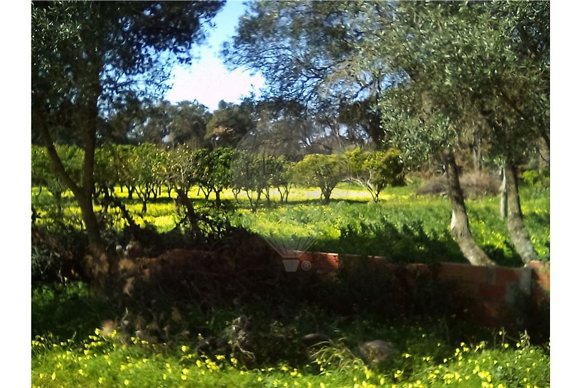 listing 121331065-235 picture-0