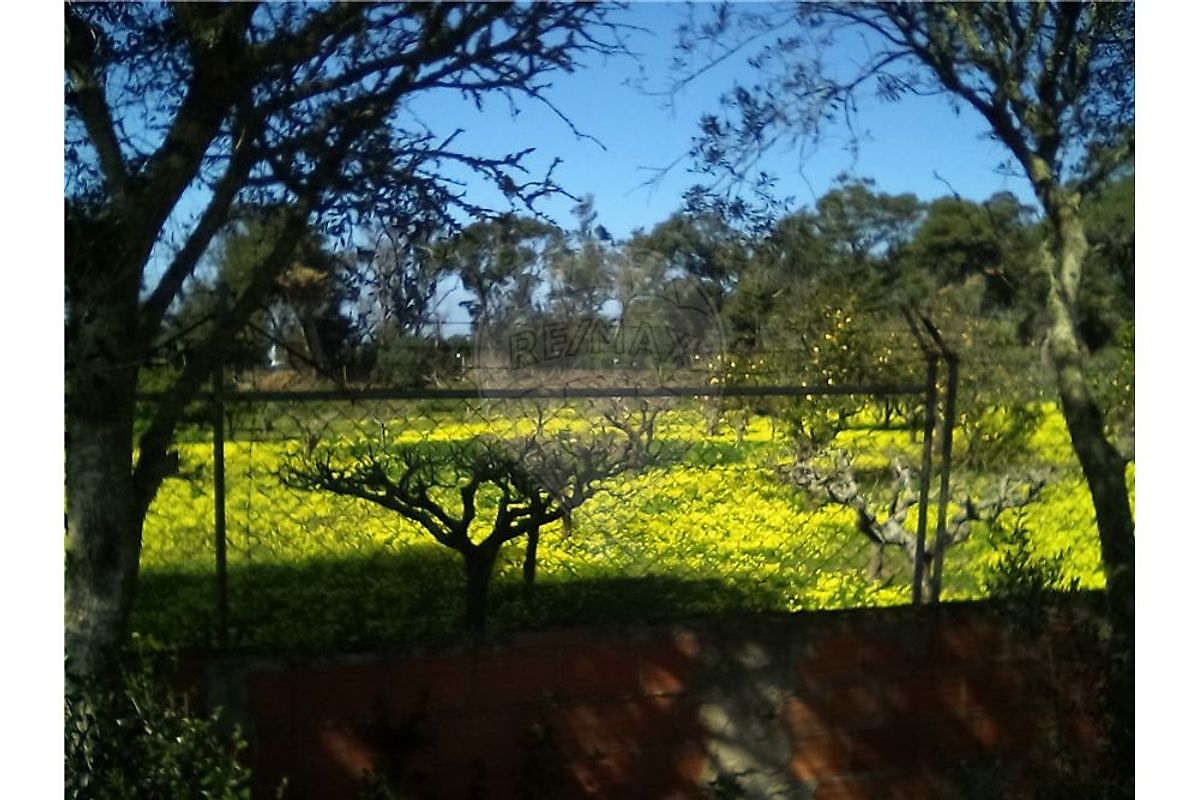 listing 121331065-235 picture-0