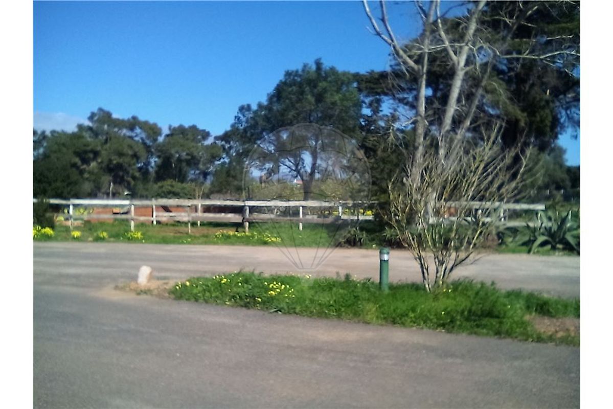 listing 121331065-235 picture-0