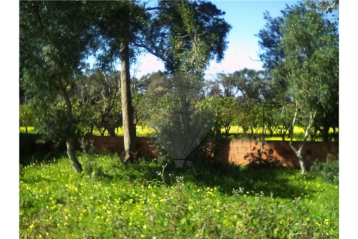 listing 121331065-235 picture-0