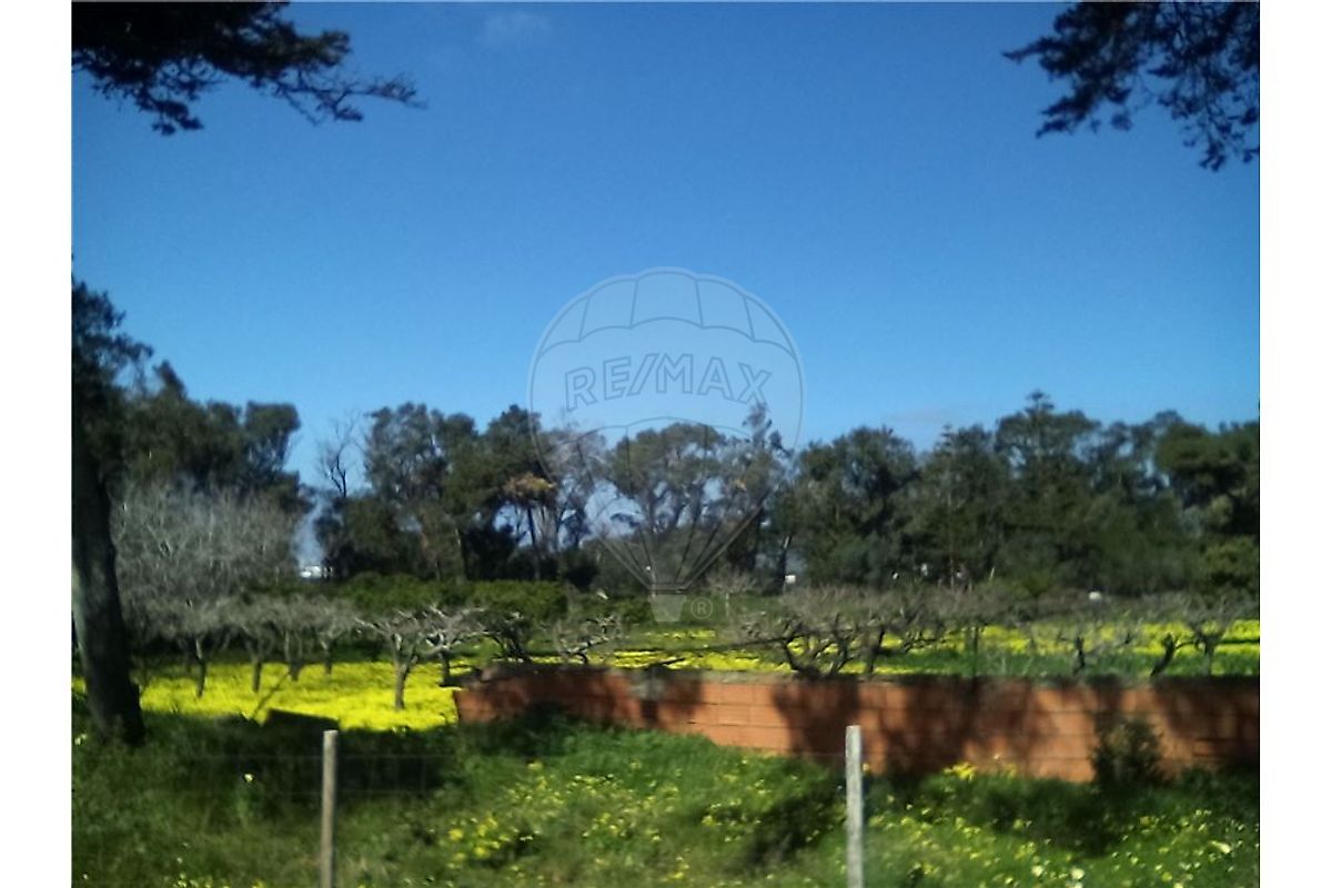 listing 121331065-235 picture-0