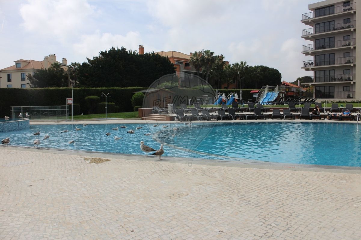 listing 121491126-244 picture-0