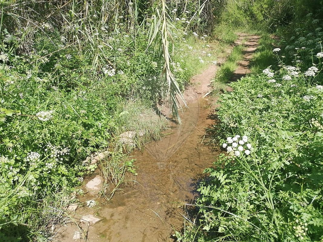 Terreno à venda em Silves