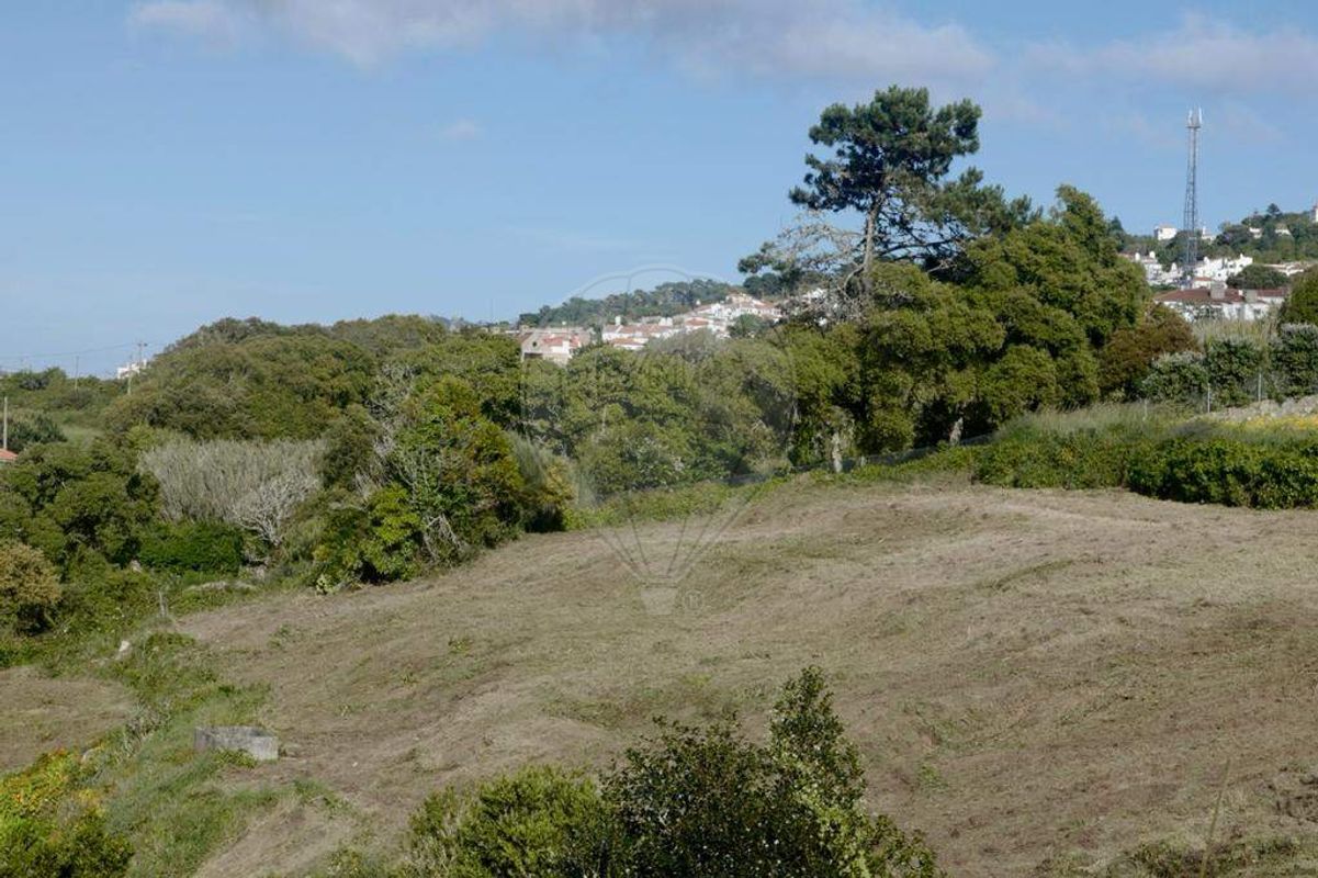 listing-picture-0