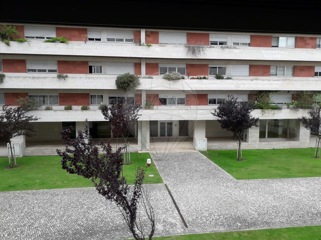 121491883-20