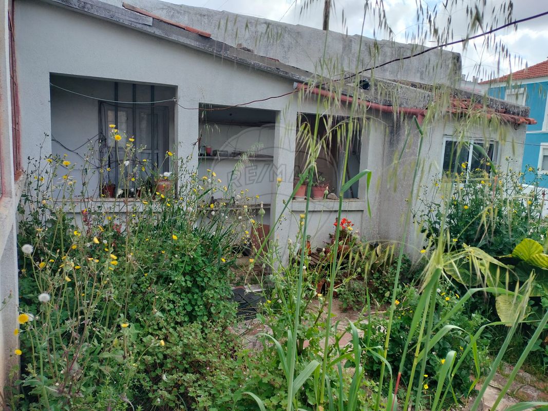 listing 121491860-129 picture-0