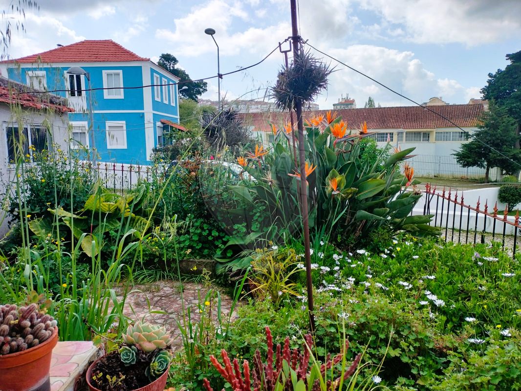 listing 121491860-129 picture-0