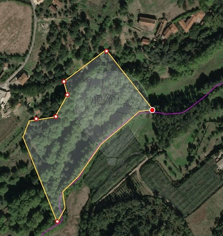 Terreno - Alvite e Passos, Cabeceiras de Basto, Braga