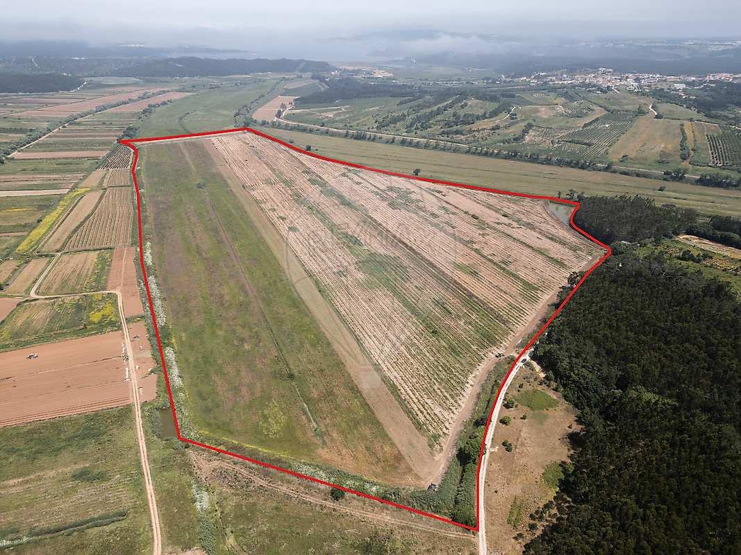 Terreno - Santa Maria, São Pedro e Sobral da Lagoa, Óbidos, Leiria
