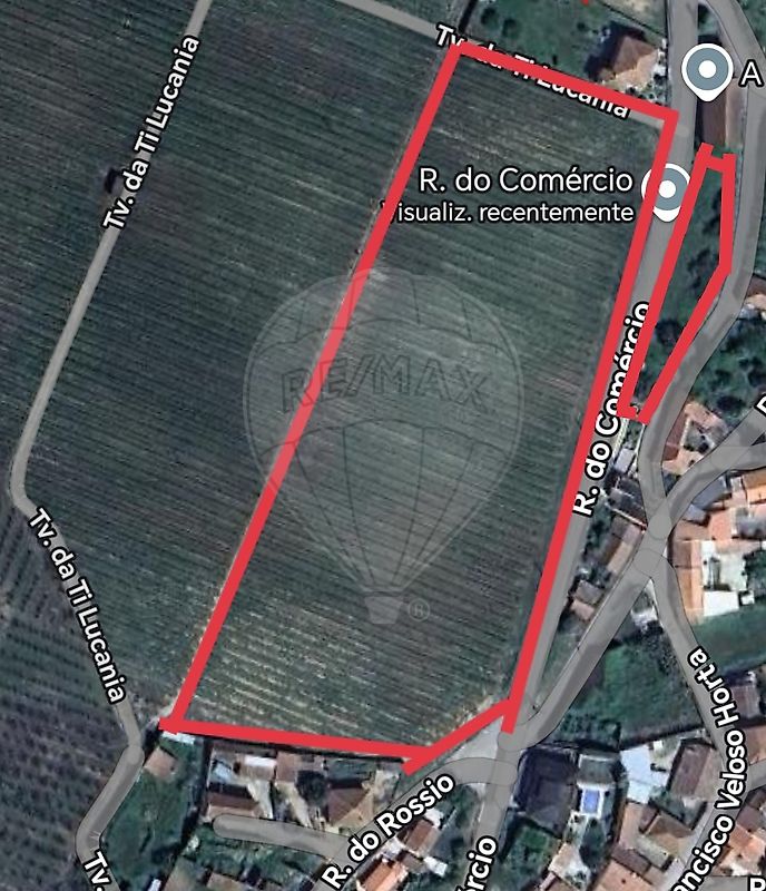 Terreno - Carvalhal, Bombarral, Leiria