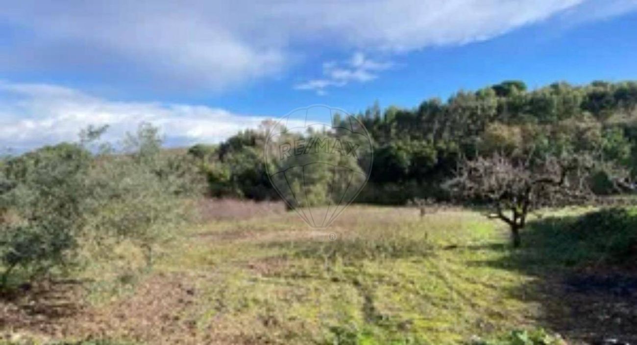 Terreno - São Vicente do Paul e Vale de Figueira, Santarém, Santarém