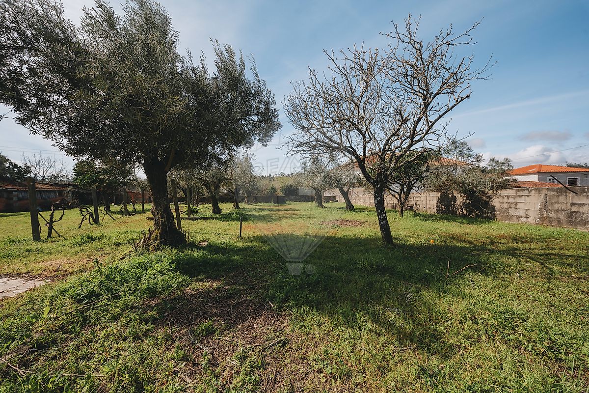 Moradia T3 à venda em Freixianda, Ribeira do Fárrio e Formigais, Ourém — foto 38
