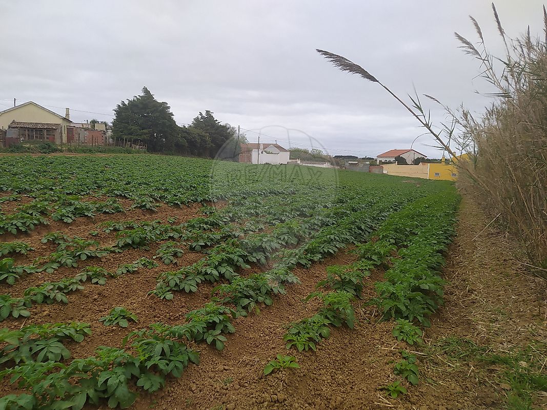 Land for sale in Lourinhã, Portugal — €90,000