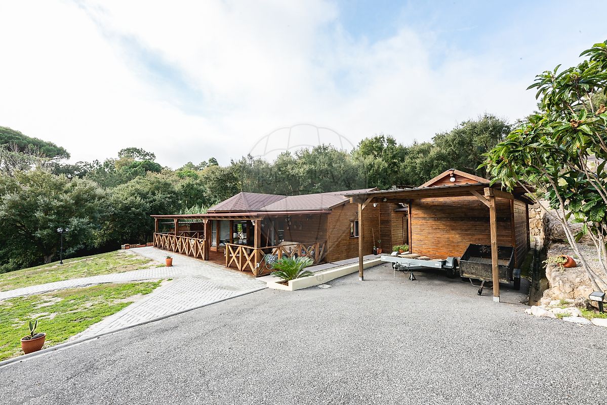 listing 121511380-159 picture-0