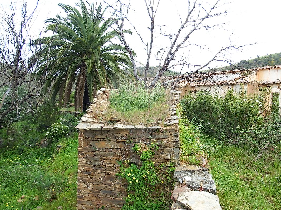 Quinta à venda em Barreiros