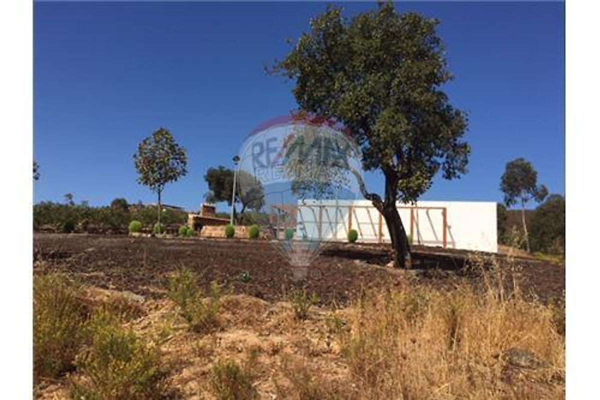 listing-picture-0