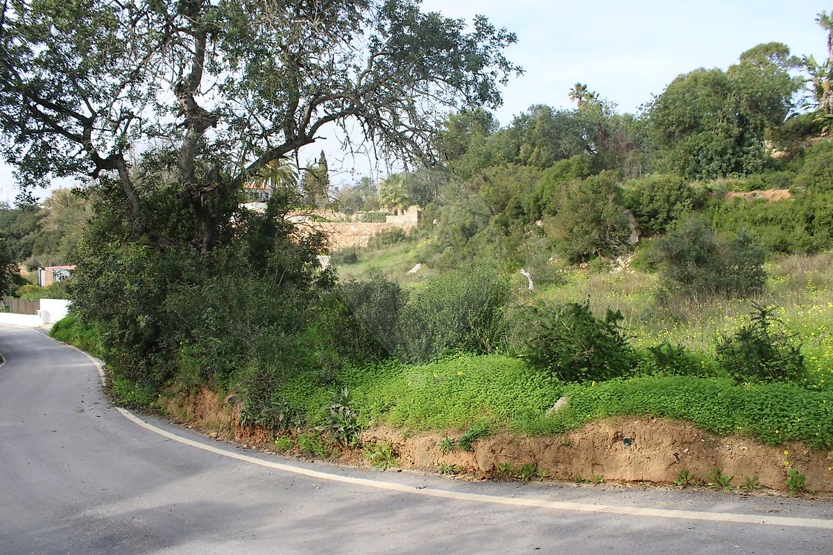Terreno à venda em Vale Del Rei