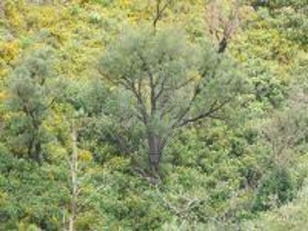 Moradia T0 à venda em São Marcos da Serra, Silves — foto 8